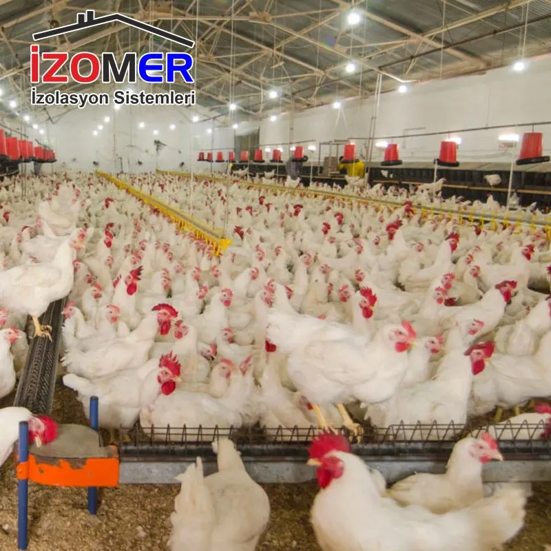 Kümes İzolasyonu